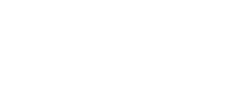 ERP Spets